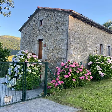 Casa Rural El Salvijo Monte  Exterior photo