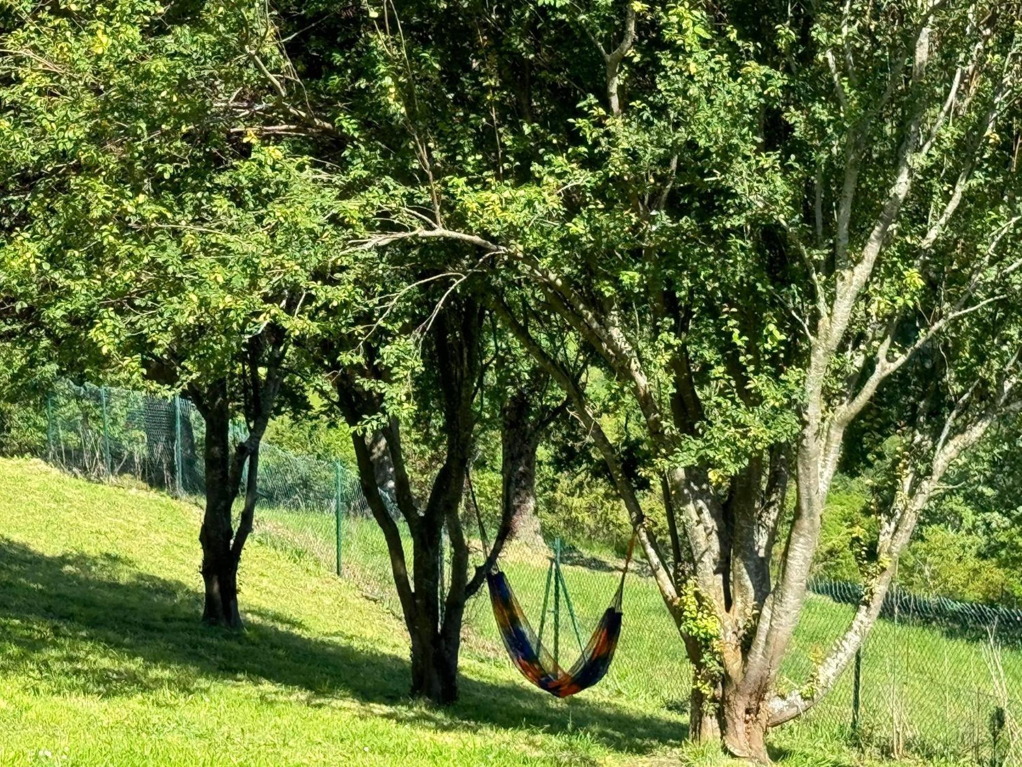 El Salvijo Chalet