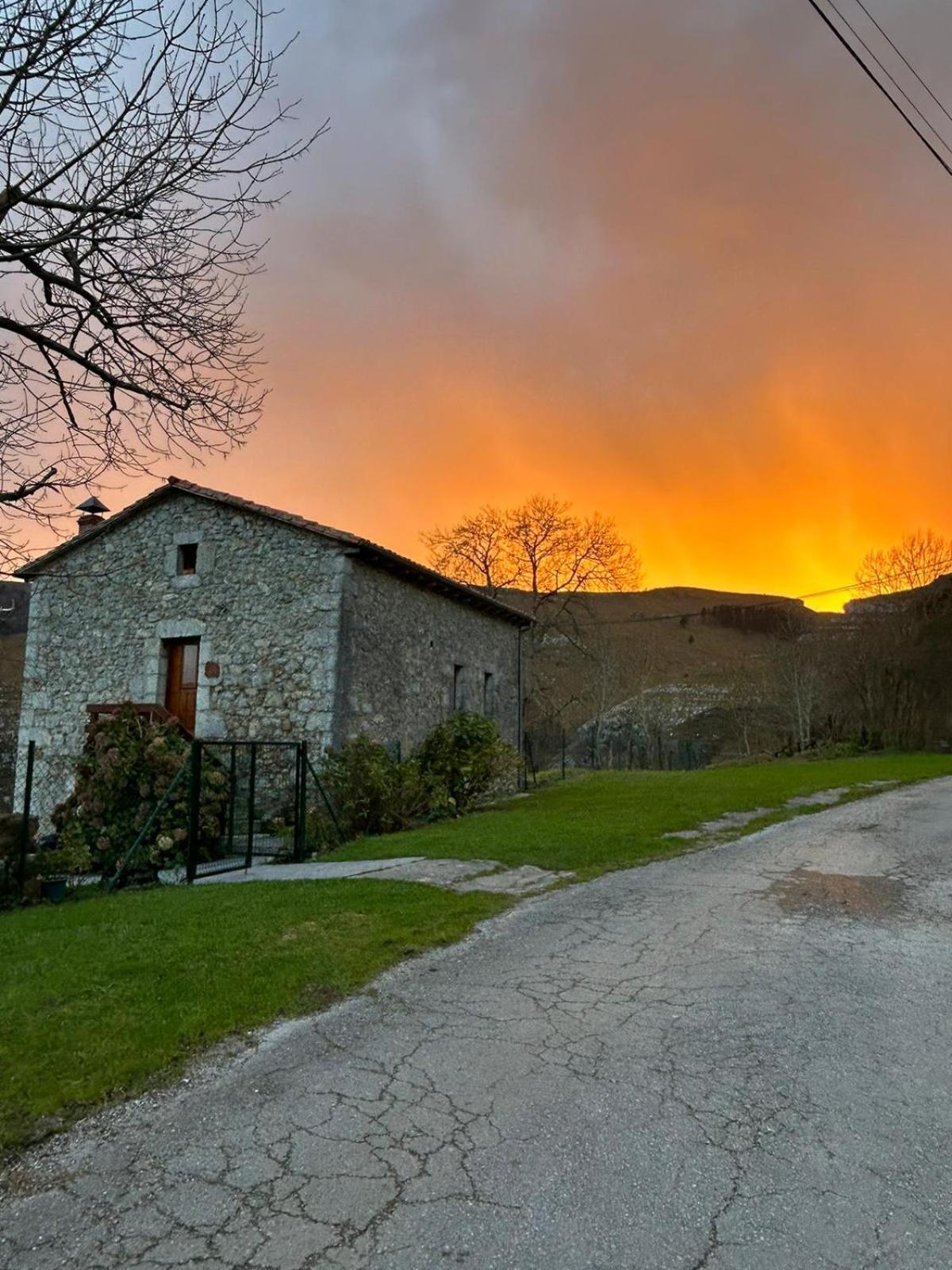 El Salvijo Monte (Trasmiera)